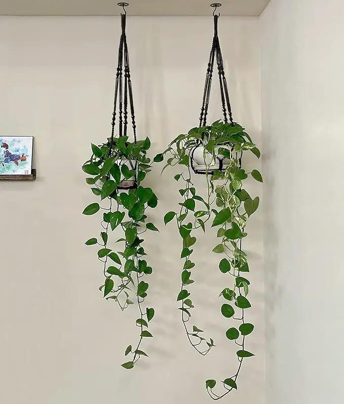 Mkono Macrame Plant Hanger Indoor Hanging Planter Basket with Wood Beads Decorative Flower Pot Holder No Tassels for Indoor Outdoor Boho Home Decor 35 Inch, Black, Set of 2 (POTS NOT Included) by GreenHaven Gardens