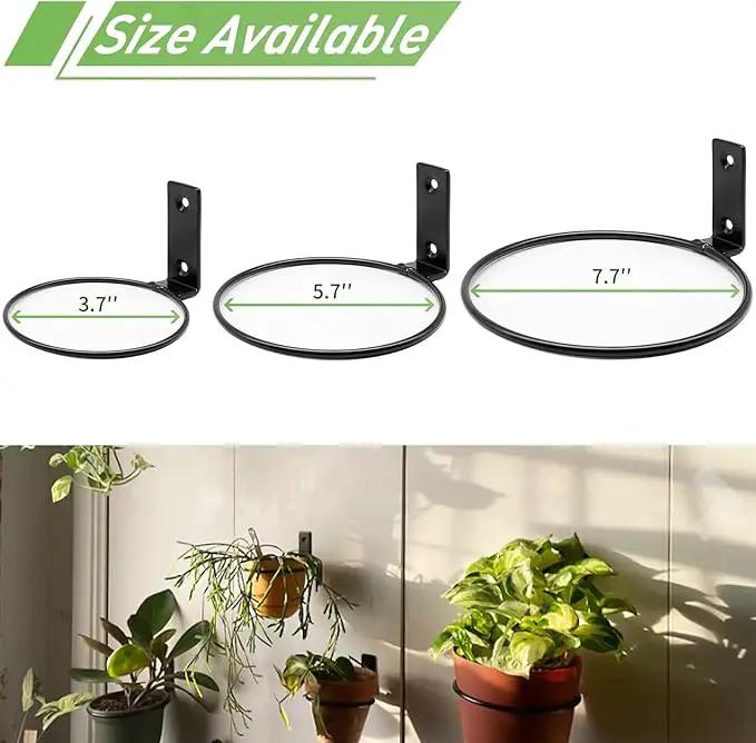6 Pack 4 Inch Wall Flower Pot Holder Ring Plant Hanger, Metal Planter Hooks Wall Mounted Bracket Heavy Duty for Outdoor Indoor by GreenHaven Gardens