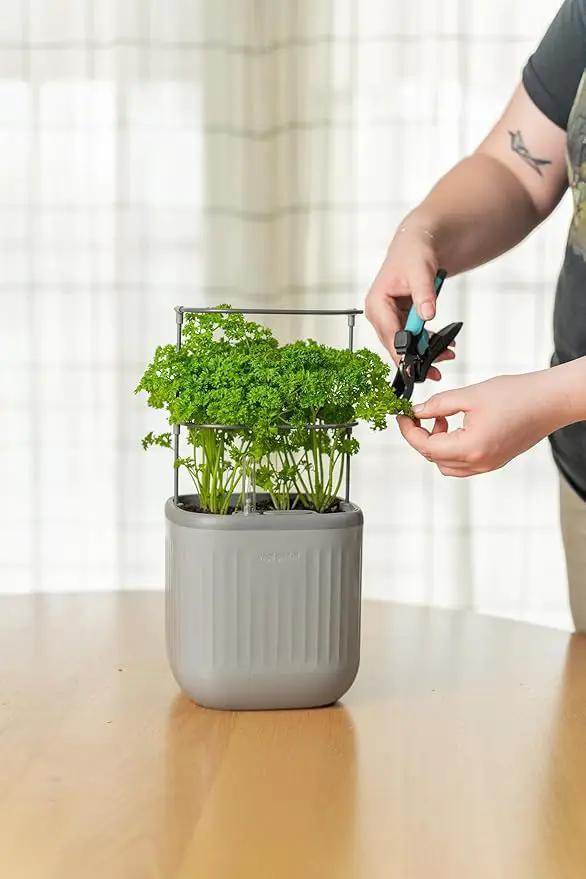 Vego garden Mini Planter Indoor Pots with Trellis Self-Watering Herb Countertop Planter for Climbing Vegetables Flowers Mint Plants Cage 2 Pack- Fog Gray by GreenHaven Gardens
