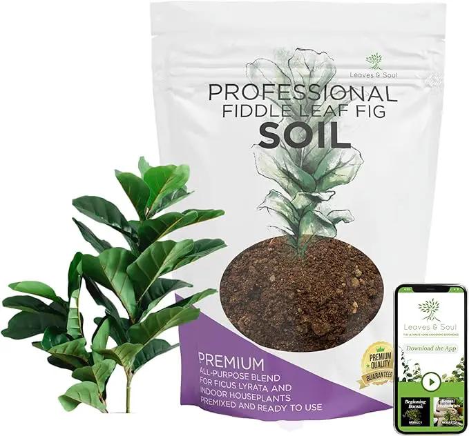 Fiddle Leaf Fig House Plant Soil Premium All Purpose Blend | Large 2.2 Quarts | Ready to Use for Indoor Houseplants | Peat, Sawdust, Course Sand and Pinebark | Made in USA by GreenHaven Gardens