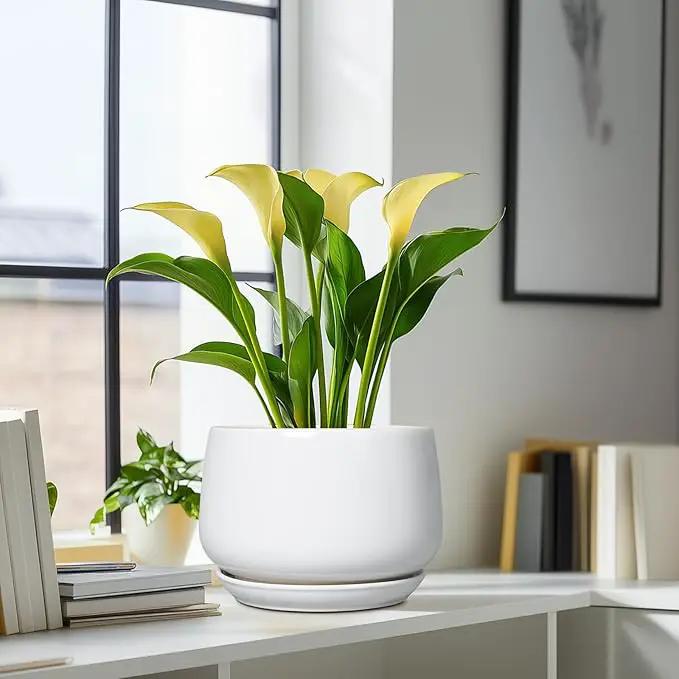 G EPGardening Ceramic Planter 9 Inch - Plant Pots with Drainage and Ceramic Saucer, Flower Pots for Indoor Plants, Modern Outdoor Planter, Living Room Decor, Gifts for Plant Lovers, White