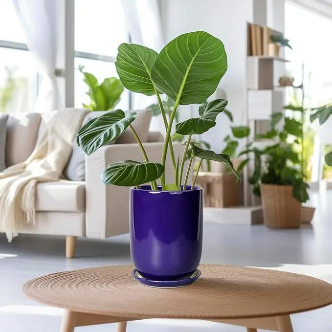 Ceramic Plant Pot - 8 Inch Planter for Indoor Plants Outdoor Flower Pot with Drainage Hole and Saucer Home Patio Office Decor Blue by GreenHaven Gardens