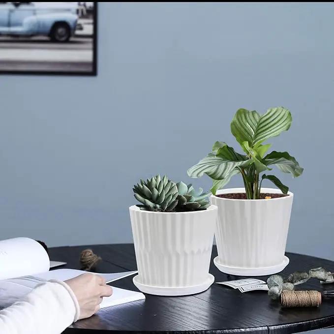Plant Pots - 6.7 Inch Cylinder Ceramic Planters with Connected Saucer, Pots for Succuelnt and Little Snake Plants, Set of 2, White by GreenHaven Gardens