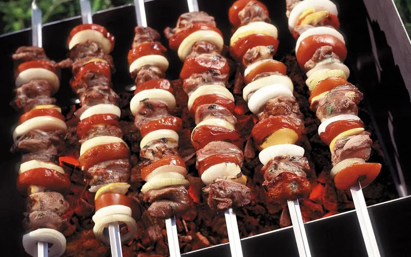 Metal Skewer for Grilling,Kabob Skewer,Flat BBQ Barbecue Skewer,Grilling Skewers Set,Reusable BBQ (10" skewer(16 pack)) by GreenHaven Gardens
