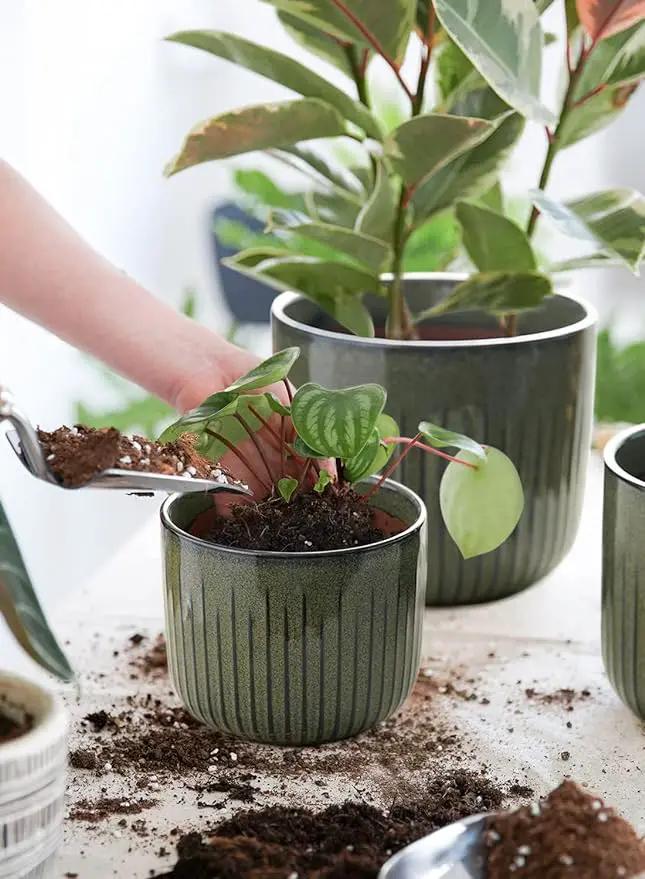 LE TAUCI Fluted Ceramic Planters Set of 3 – 8.3/7 / 5.7 in Dark Olive Reactive Cylinder Indoor Plant Pots with Drainage Plug & Mesh, Glossy Stoneware Flower Pots for Succulents Herbs by GreenHaven Gardens