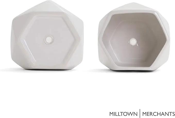 Milltown Merchants Succulent Wall Planters - White Ceramic Mounted Planters - Succulent Pots - Hanging Vases for Living Wall (1 Pack/Geometric/White) by GreenHaven Gardens