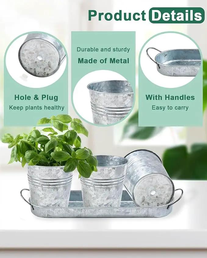 vensovo Indoor Herb Planter Set - Galvanized Windowsill Garden Pots with Tray & Drainage, Set of 3 Metal Window Planters for Kitchen & Outdoor Use, Silver by GreenHaven Gardens