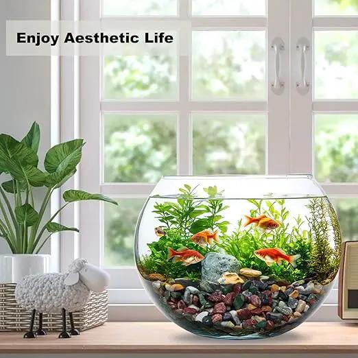 45LB Succulents Rocks for Plants Cactus Gravel Pebbles for Fish Tank 1/2 Inch Natural River Rocks for Vase, Aquarium, Landscaping,Bonsai,Terrarium Pebbles, Mixed Color by GreenHaven Gardens