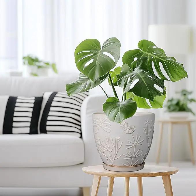 8 Inch Ceramic Pots for Plants Large Planter Pot with Drainage Hole and Saucer Round Flower Pot for Indoor Outdoor Decor, White by GreenHaven Gardens
