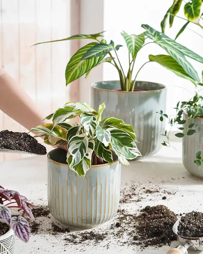 LE TAUCI Ceramic Planters, Set of 3 Plant Pots for Indoor Plants, 8.3+6.9+5.7 inch Flower Pots with Drainage Holes, Large Cylinder Planters Pot for Outdoor Indoor House Plants, Glaze Blue Gray by GreenHaven Gardens