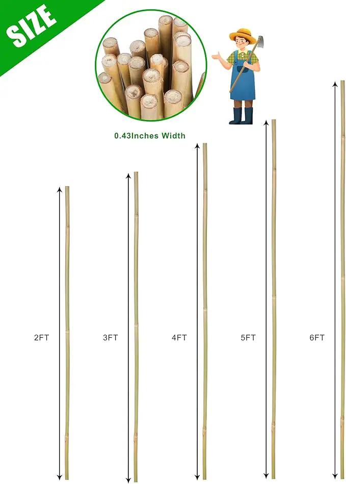 3ft Natural Bamboo Plant Stakes for Tomatoes, Beans, Flowers, Potted, Climbing Plants 25pcs by GreenHaven Gardens