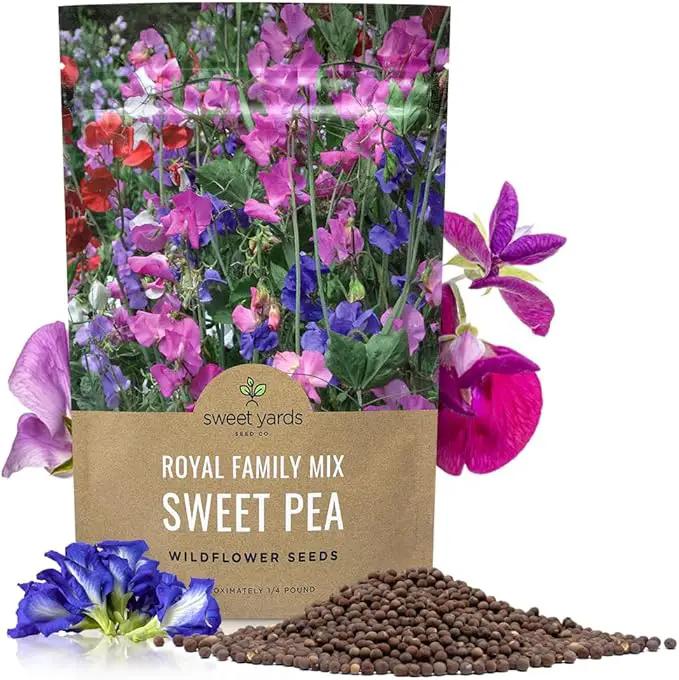 Sweet Pea Seeds Royal Mix - Bulk 1/4 Pound Bag - Over 1,400 Seeds - Large Fragrant Lavender, Purple, Red, Pink and White Blooms by GreenHaven Gardens