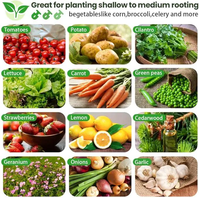 Tall Galvanized Raised Garden Bed Outdoor,Metal Garden Bed for Vegetables,Steel Raised Beds for Gardening,Above Ground Garden Box for Flower-44x22 inch by GreenHaven Gardens