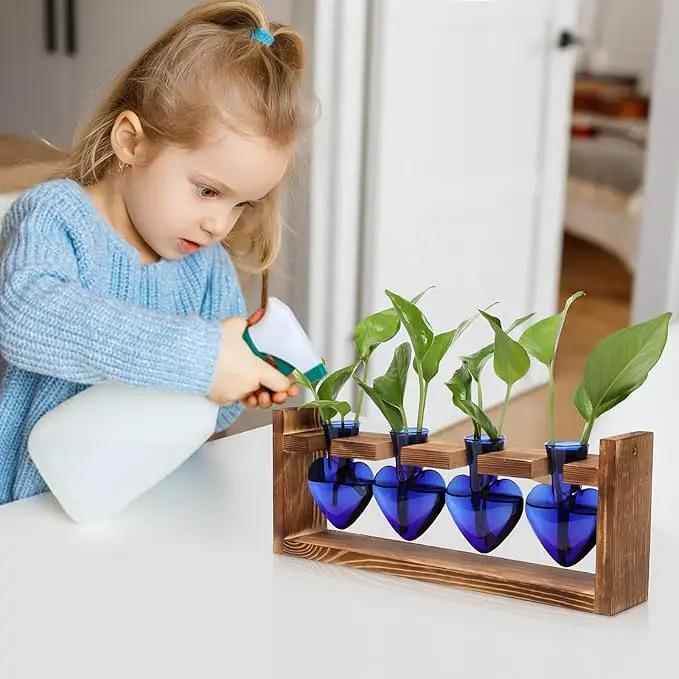 Plant Propagation Stations Heart Plant Terrarium Kit Gift for Women Plant Lover Glass Vases by GreenHaven Gardens