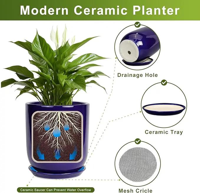 Ceramic Plant Pot - 8 Inch Planter for Indoor Plants Outdoor Flower Pot with Drainage Hole and Saucer Home Patio Office Decor Blue by GreenHaven Gardens