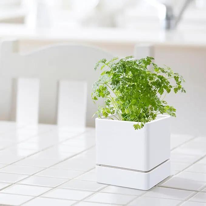 4 Inch Herb Planter Pot, Plastic Planter with Drainage Holes and Saucer, Modern Decorative Gardening Pot for Indoor Plants, Flowers, Herbs, Succulents, White, Set of 1, 76-Y-A-1 by GreenHaven Gardens