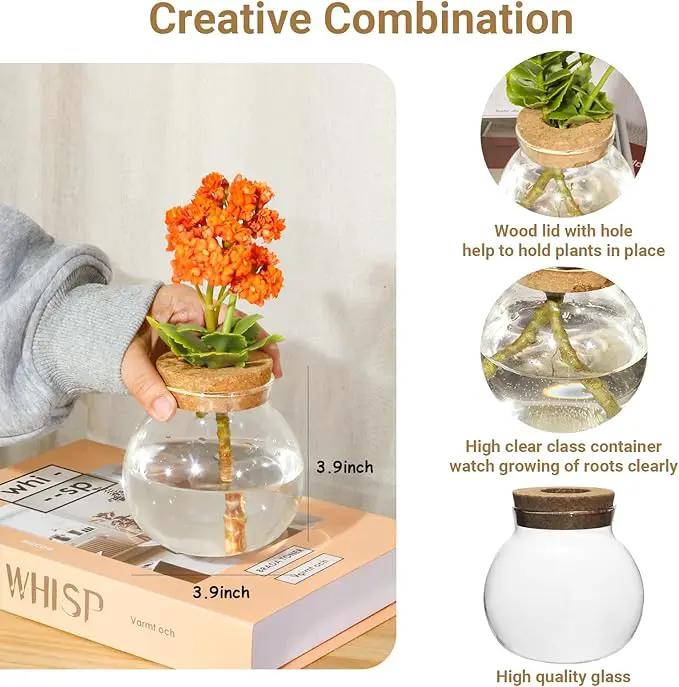 Plant Propagation Station,Hydroponic Terrarium Vase,Desktop Glass Planter Station,for Houses,Garden Decorations,ropagating Hydroponic Plants,Centerpiece Office,Home Garden Decor (2) by GreenHaven Gardens