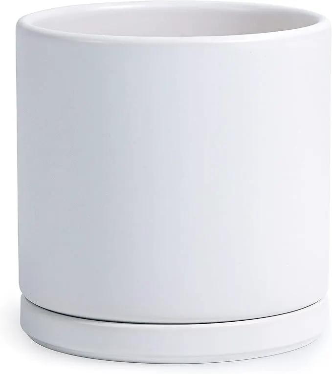 D'vine Dev 10 Inch Ceramic Planter Pot with Drainage Hole and Saucer, Indoor Cylinder Round Planter Pot, White, 94-O-E-1 by GreenHaven Gardens