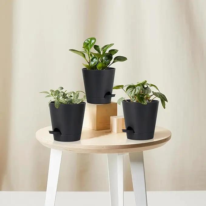 5 Pack 5 inch Self-Watering Pots, African Violets Planter with Drainage Holes and Reservoir, Black Plastic Planter for Indoor Outdoor Plants Flowers and Houseplants Black, 5 inch 5 pcs by GreenHaven Gardens