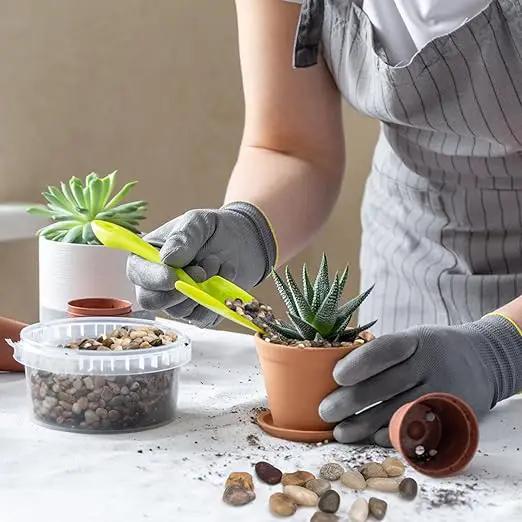 2.5 lbs Pebbles for Indoor Plants, Succulent, Bamboo, Vase, 3/8" Plant Rocks for Pots Indoor, Small River Rocks Decorative Pea Gravel, Highly Polished by GreenHaven Gardens