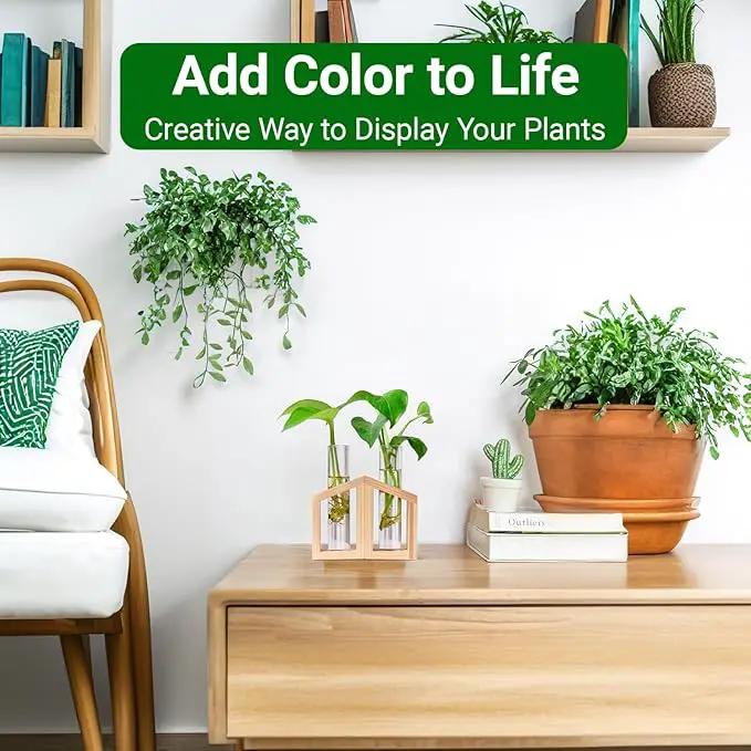 Ivolador Plant Propagation Station, Plant Propagation Tubes,Gifts for Plant Lovers,Plants Cutting Holder Office Desk Garden Décor Gifts for Mom Women Hydroponic Vase Gift Box by GreenHaven Gardens