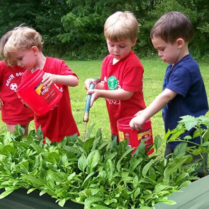 4x2x1ft Metal Raised Garden Bed Kit，Galvanized Garden Bed Box for Vegetables, Flowers, Herbs, and Succulents,60 Gallon Capacity - Green by GreenHaven Gardens