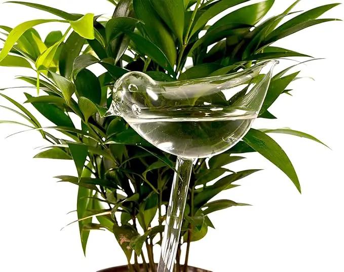 Glass Plant Watering Globes, Self Watering Globes Bird Shape, Self Watering Planter Insert, Plant Watering Devices, Automatic Plant Waterer Indoor, Watering Bulbs, 2 Pack by GreenHaven Gardens