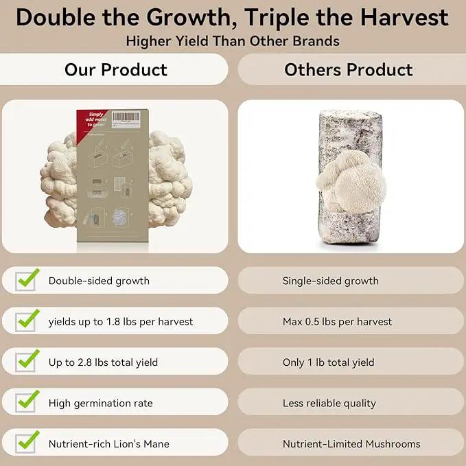 inbloom Large Organic Lion's Mane Mushroom Growing Kit (4 lbs) – Double-Side Growth, Edible Non-GMO Mushroom Kit, Beginner-Friendly, Harvest Mushrooms at Home, Indoor Gardening Gift for Adults by GreenHaven Gardens