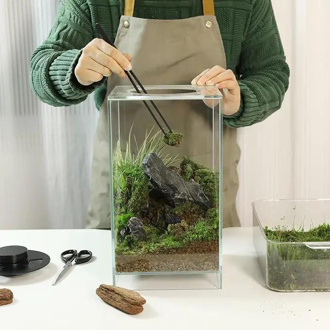 Desktop Glass Plant Terrarium with Grow Light(L7.8 W7.8 H14), for Succulent, Moss, Miniature Gardening Landscape, Betta Fish Tank, Indoor Plant Growth, Office Home Decoration (TimeControlled) by GreenHaven Gardens