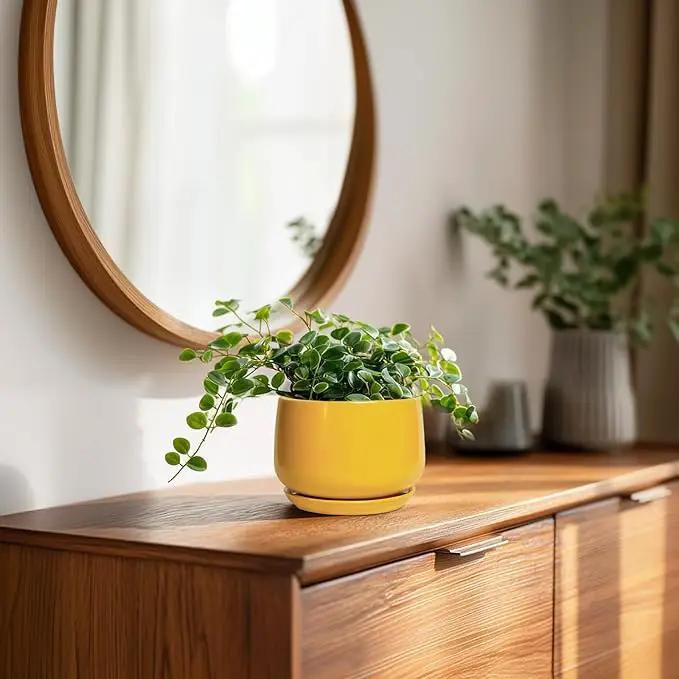 G EPGardening 4 Inch Ceramic Planter - Succulent Pots for Plants Indoor Outdoor, Small Plant Pots with Drainage Hole & Saucer, Round Planter, Modern Flower Pot, Home Decor, Plant Lover Gift, Yellow by GreenHaven Gardens