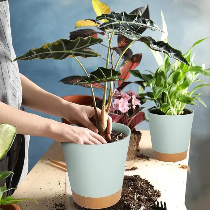 GARDIFE Plant Pots 8/7/6.5/6/5.5/5 Inch Self Watering Planters with Drainage Hole, Plastic Flower Pots, Nursery Planting Pot for All House Plants, African Violet, Flowers, and Cactus,Green by GreenHaven Gardens
