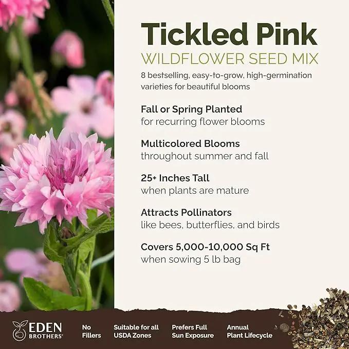 Eden Brothers Tickled Pink Flower Mixed Seeds for Planting, 5 lb, 2,400,000+ Seeds with Cosmos, Cornflower, Zinnia | Attracts Pollinators, Plant in Spring or Fall, Zones 3, 4, 5, 6, 7, 8, 9, 10 by GreenHaven Gardens