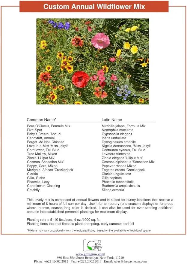 Wildflower Seed Shaker – Annual Mix by GevaGrow | 17 Variety Flower Seeds for Planting in Pots & Outdoor Gardens, Bulk 300,000+ Seeds - 1 Pound Tub by GreenHaven Gardens