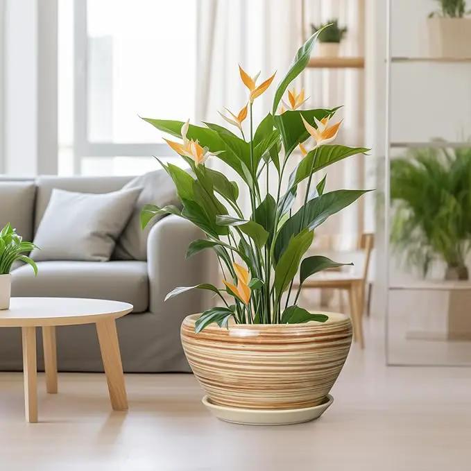 Ceramic Pot for Plants - 13 Inch Planter for Outdoor Plants Indoor Plant Pot with Drainage Hole and Saucer Large Planter Round Flower Pot for House Patio Garden Decor Yellow by GreenHaven Gardens