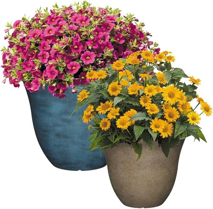 Classic Home and Garden Honeysuckle Resin Flower Pot Planter, Fossil Stone, 15" (Pack of 2) by GreenHaven Gardens