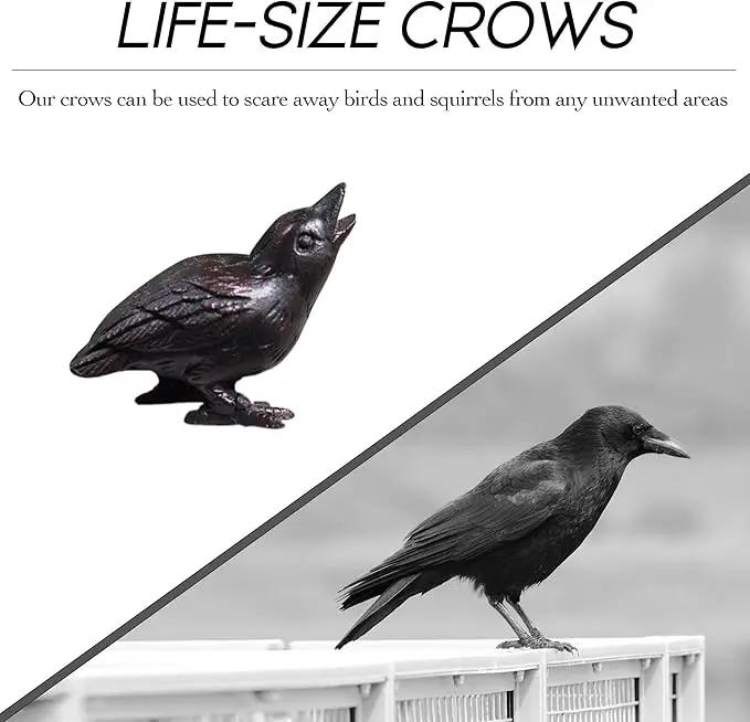 NACH Cast Iron Baby Crow Statue, Raven Garden Statues, Crow Garden Sculpture, Bird Figurines Home Decor, Crow Decor, Raven Decor, Black Bird Statue, 5.4 x 2.2 x 3.2 inches, JS-90-7116 by GreenHaven Gardens