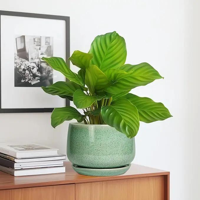 G EPGardening Ceramic Plant Pot - 7 Inch Ceramic Planter for Indoor Outdoor Plants, Flower Pot with Drainage Hole and Tray, Modern Round Planter, Plants Lovers Gifts, Home Garden Decor, Green by GreenHaven Gardens