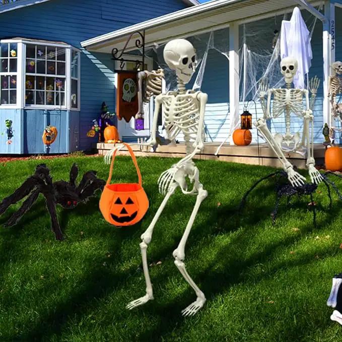 DINESIL 5.4ft/165cm Halloween Skeleton, Halloween Life Size Skeleton with Spider Pumpkin Bag, Full Body Human Bones with Movable Joints for Halloween Indoor Outdoor Haunted House Decorations by GreenHaven Gardens