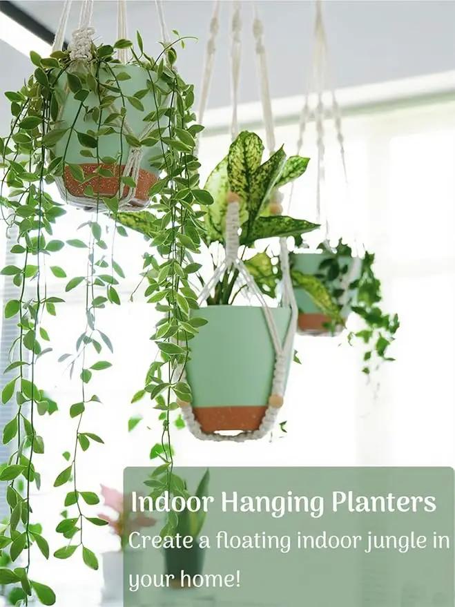 Self Watering Hanging Planters for Indoor Plants 3 Pack Macrame Plant Hangers with Drainage Holes Pots and Hooks for Home Garden Decor Green by GreenHaven Gardens