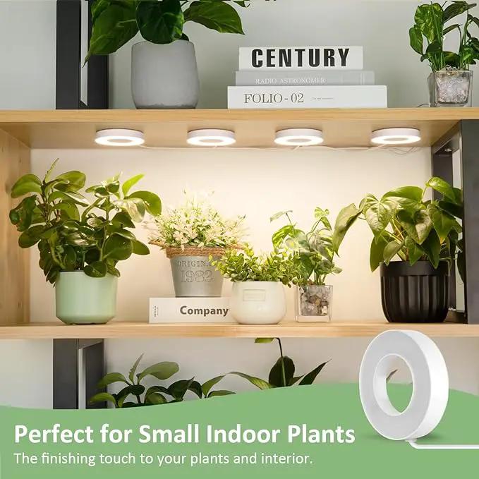 LORDEM Ceiling Grow Light for Indoor Plants, 192 LEDs Full Spectrum LED Plant Light, Plant Lamp with 3/6/12H Auto Switch, 4 Brightness Levels, Individual Bulb Control, Quad Head, Corded by GreenHaven Gardens