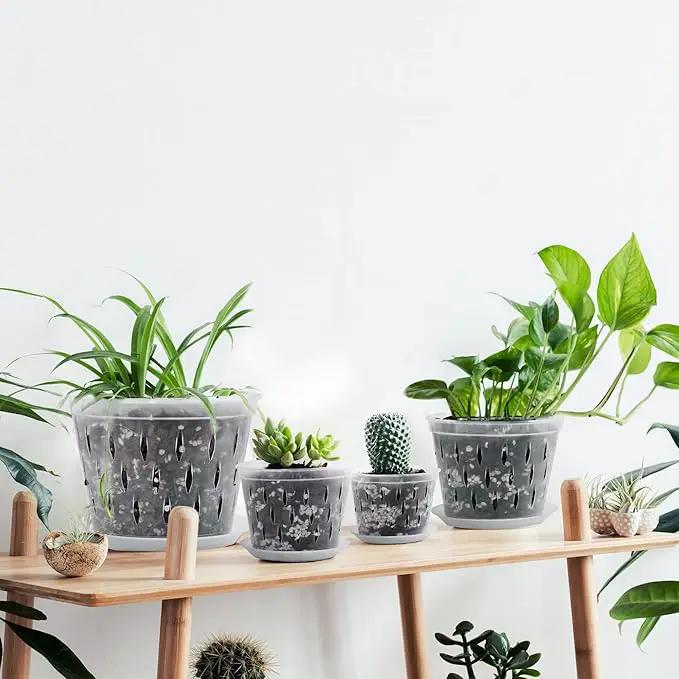 Orchid Plants- 2 Each of 4, 5, 6 and 7 inch- 8 Sets with Saucers, Orchid Pots with Holes and Clear Plastic Orchid Pots for Repotting by GreenHaven Gardens