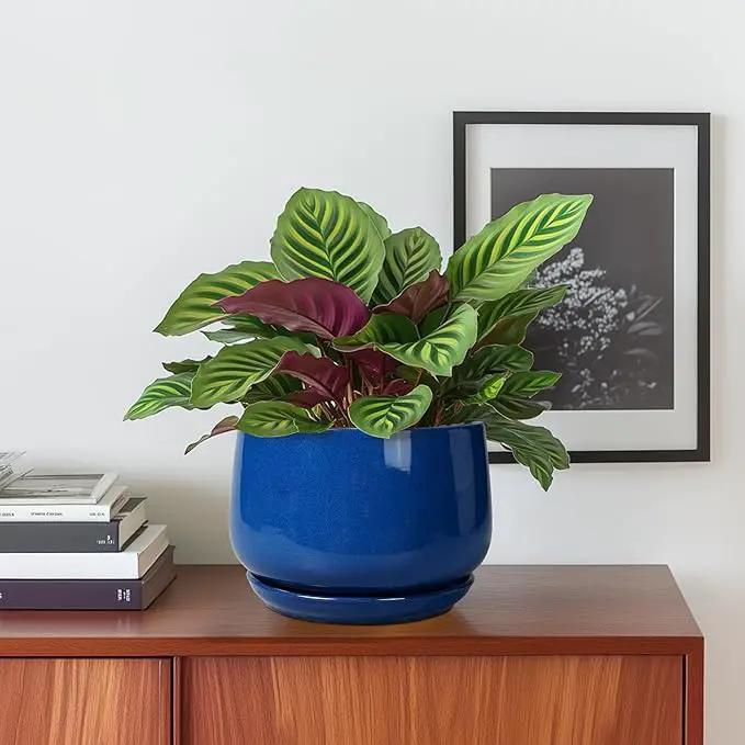 G EPGardening 6 Inch Plant Pot - Round Ceramic Planter Indoor with Drainage and Ceramic Saucer for Flower, Modern Desk Decor, Modern Garden Gift, Blue by GreenHaven Gardens
