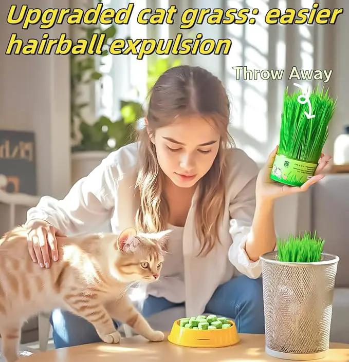 60g/2.12oz Cat Toy Cats Grass Treats, Fish Oil Kitten Grass Catnip Stick for Hairball Removal Teeth Cleaning Cats Edible Freeze Dried Kitty Lickable Chew Dental Snack for Indoor Kitty Food by GreenHaven Gardens