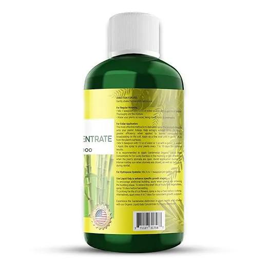 Organic Premium Kelp Seaweed Liquid Fertilizer for Lucky Bamboo - Natural Soil Enhancer (16 OZ) by GreenHaven Gardens