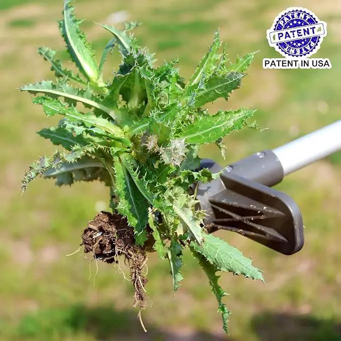 Walensee Upgraded Weed Puller, Stand Up Weeder Hand Tool, Long Handle Garden Weeding Tool with 5 Claws, Hound Weed Puller for Dandelion, Standup Weed Root Pulling Tool and Picker, Grabber (1 Pack) by GreenHaven Gardens