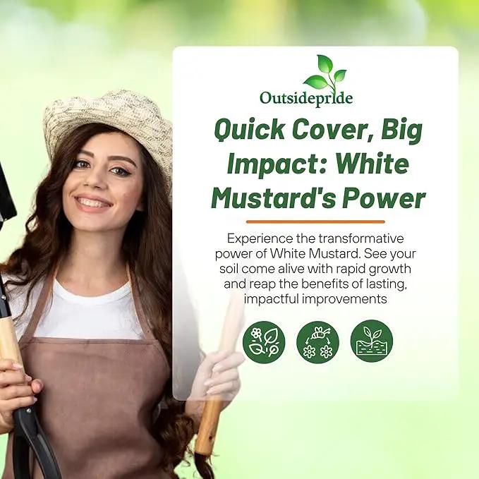 Outsidepride White Mustard Seeds for Planting - 10 lb Annual Cover Crop Seeds w/Deep Root System, High Protein Forage, Ideal for Soil Fertility, Crop Rotations, & Livestock Nutrition by GreenHaven Gardens