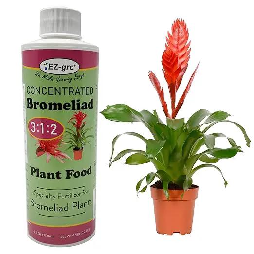 Professional Liquid Bromeliad Fertilizer by EZ-gro | 3:1:2 Ratio of Concentrate Indoor Plant Fertilizer for Your Bromeliads Live Plant | 8 oz Bottle by GreenHaven Gardens