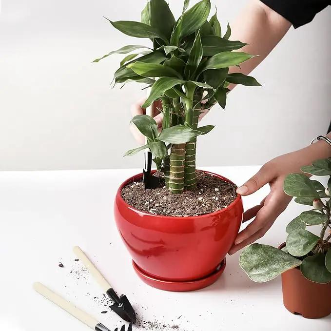 vicrays Ceramic Plant Pots Indoor - 6.5 Inch Planter Pot with Drainage Hole and Saucer for Succulent Orchid Flower Herbs Cactus - Ideal for Gardening Home Desktop Office Decor - Red by GreenHaven Gardens