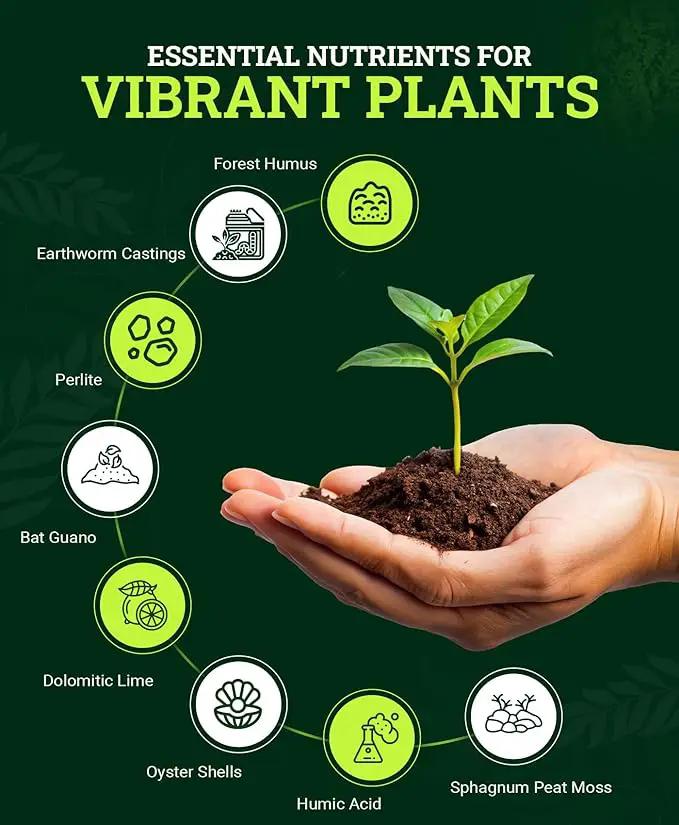FoxFarm Happy Frog Potting Soil, 12qt – for Indoor/Outdoor Container Plants, Improves Root Efficiency, pH Adjusted for Optimal Nutrient Uptake – Contains Microbes and Humic Acids (Pack of 4) by GreenHaven Gardens