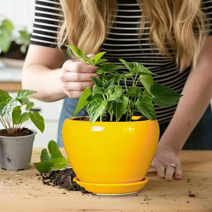 Ceramic Pot for Plants - 6 Inch Plant Pot Glaze Modern Decorative Round Planter with Drainage Hole and Saucer for Home Patio Room Office House Decor, Yellow by GreenHaven Gardens